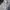 Adidas Sportswear Casual Sweater Pria gray blue photo 4