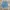 Short Pria blue photo 1
