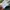 Nike Gorpcore Sportswear Windbreaker Pria green cream photo 4