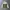 Nike Gorpcore Sportswear Windbreaker Pria green cream photo 1