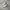 Adidas ZX Boots photo 2