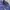 Uniqlo Streetwear Gorpcore Windbreaker Pria navy photo 3