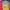 Le Coq Sportif Sportswear Cami top Wanita pink yellow photo 3