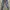 ZARA Luxury Casual Ripped jeans Wanita navy blue photo 1