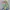 Luxury Avant Garde Blouse Wanita multicolor photo 4