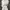 Luxury Minimalist Wanita white cream photo 2