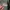 Michiko Koshino Windbreaker Pria green photo 5