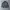 Nike Streetwear Sportswear Track Jacket Pria Black