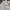 Urban Outfitters Fleece Wanita black cream photo 3