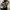Urban Outfitters Fleece Wanita black cream photo 4