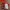 Nike Y2K Sportswear Jersey Pria red photo 4