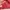 Under Armour Sportswear Bag Pria red photo 4