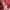 Under Armour Sportswear Bag Pria red photo 3