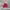 Under Armour Sportswear Bag Pria red photo 2