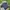 Nike Y2K Sportswear Jersey Pria navy photo 2
