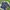 Nike Streetwear Sportswear T-shirt Pria blue photo 1