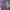 Palm Angels Streetwear Luxury Sweatpants & Joggers Pria purple photo 1