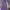 Palm Angels Streetwear Luxury Sweatpants & Joggers Pria Purple