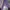 Palm Angels Streetwear Luxury Sweatpants & Joggers Pria Purple