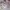 Ozone Community Casual Track jacket Pria white gray photo 3