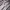 Ozone Community Casual Track jacket Pria white gray photo 6