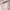 Ozone Community Casual Track jacket Pria white gray photo 2