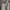 Obey Streetwear Skater Suit Pria gray photo 2