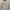 Kangol Casual Sweater Pria Cream