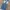 Vintage Y2K Jeans Pria navy photo 5
