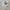 Champion Vintage Y2K Hoody Pria gray photo 5