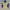 Nike Sportswear Hoody Wanita purple yellow photo 2