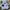 Polo Ralph Lauren Grunge Indie T-shirt Pria white blue photo 1