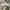 Asics Streetwear Sportswear Sneakers Pria cream photo 4