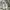 Asics Streetwear Sportswear Sneakers Pria Cream