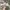 Asics Streetwear Sportswear Sneakers Pria cream photo 2