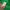 Casual Hoody Pria green photo 3