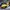 Streetwear Pria yellow photo 1
