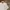 New Balance Vintage Streetwear T-shirt Pria white photo 2