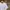 Polo Ralph Lauren Vintage Streetwear T-shirt Pria white photo 2