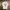 Japanese brand Vintage Streetwear T-shirt Pria white photo 1