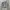 Vintage Cardigan Wanita gray photo 1