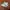New Balance Sportswear Sneakers Pria multicolor photo 1