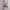 8seconds Avant Garde Minimalist Glass Kids white cream photo 1