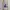 8seconds Avant Garde Minimalist Glass Kids White Cream