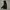 Dickies Gorpcore Puffer jacket Pria black photo 1