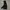 Dickies Gorpcore Puffer Jacket Pria Black