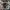 Fossil Vintage Casual Watch Pria black gray photo 1
