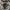 Fossil Vintage Casual Watch Pria Black Gray
