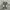 Nike Streetwear Sportswear Sneakers Pria tan photo 3
