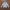UNIONBAY Sportswear Casual Sweatshirt Pria gray photo 2